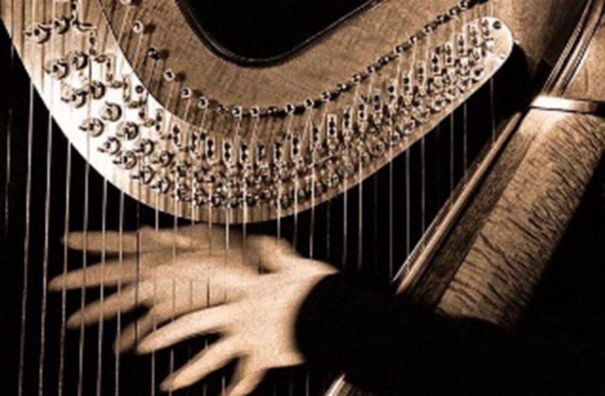 An image of a person playing a harp.